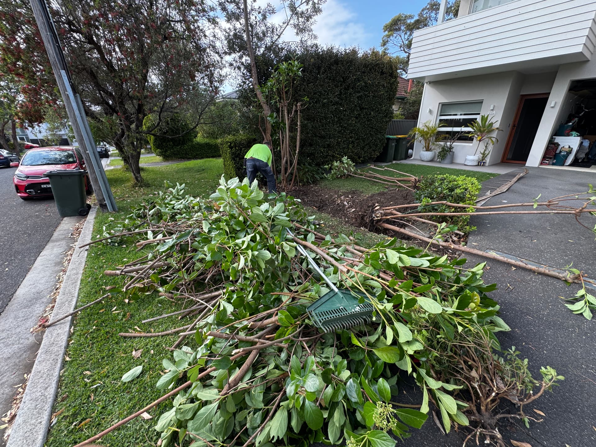Cleared branches and shrub removal on a front verge