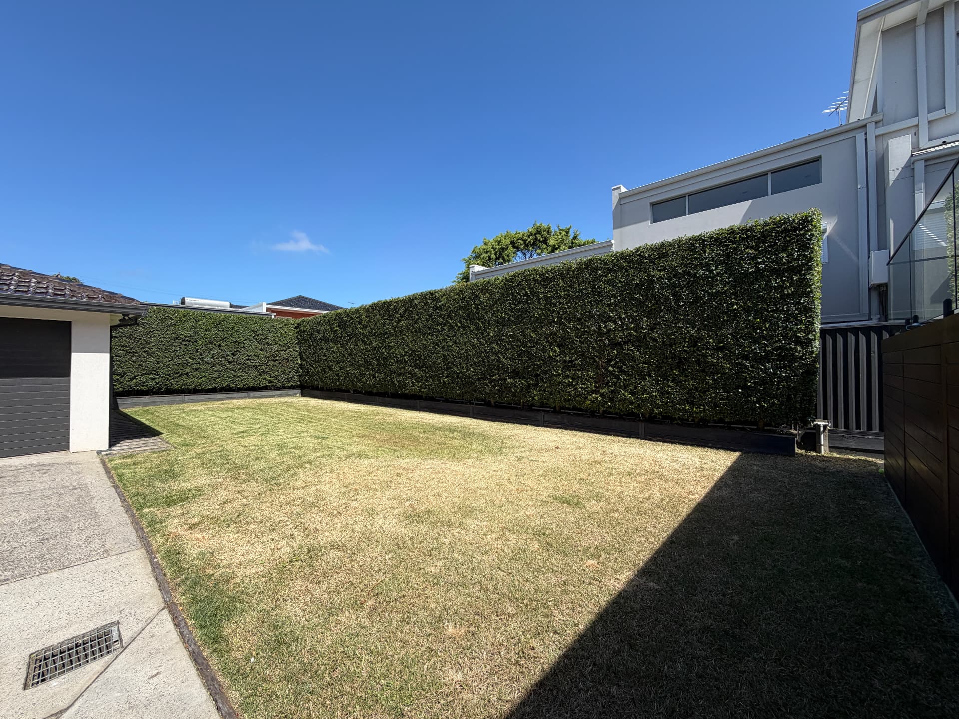 Neatly squared hedge wall around a tidy backyard lawn
