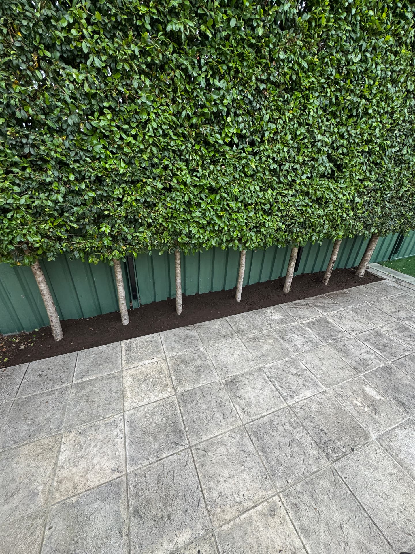 Screening & Garden Design